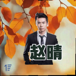 赵晴